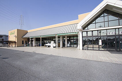 主婦の店岡田店 約1900m(徒歩約24分)