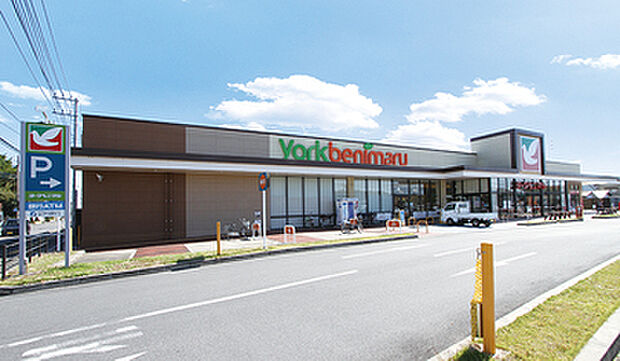 ヨークベニマル鹿沼上殿店　約1,100m～1,130m