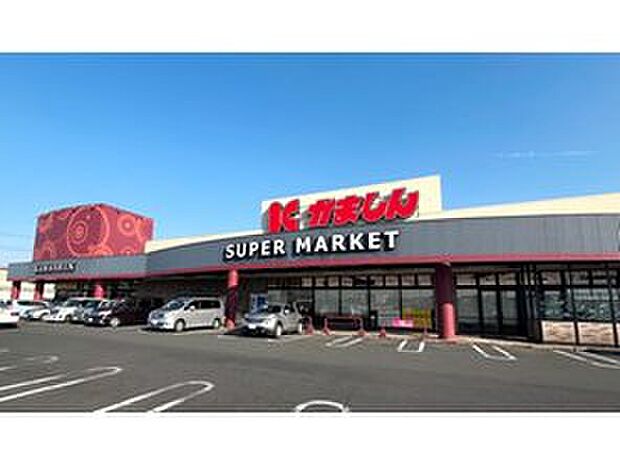 かましん雀宮店(約1,400m)