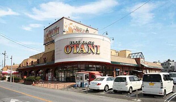 オータニ（約550m）