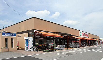 TAIRAYA茎崎店 約390ｍ～500ｍ(徒歩5分～6分)