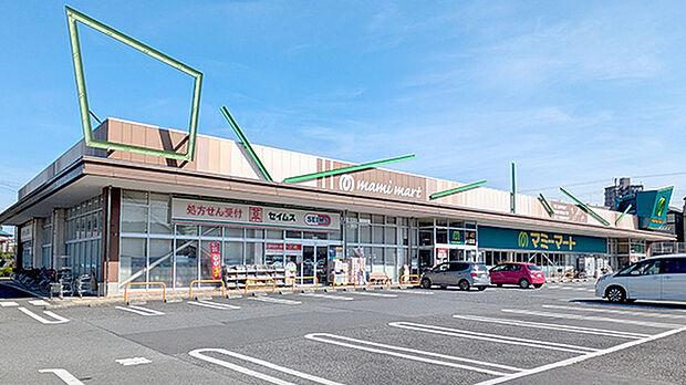 ドラッグセイムス柏あけぼの店