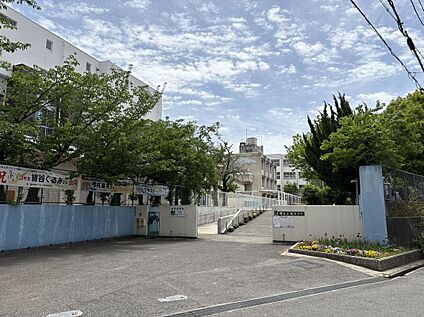 堺市立鳳中学校 1000ｍ(徒歩14分)