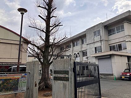 西藤小学校 約1,100ｍ(徒歩約14分)