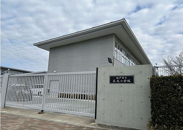 長尾小学校(約1m)