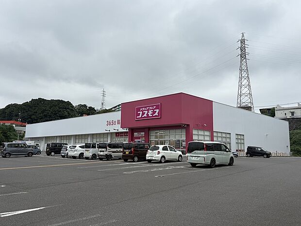 ディスカウントドラッグコスモス寒田店