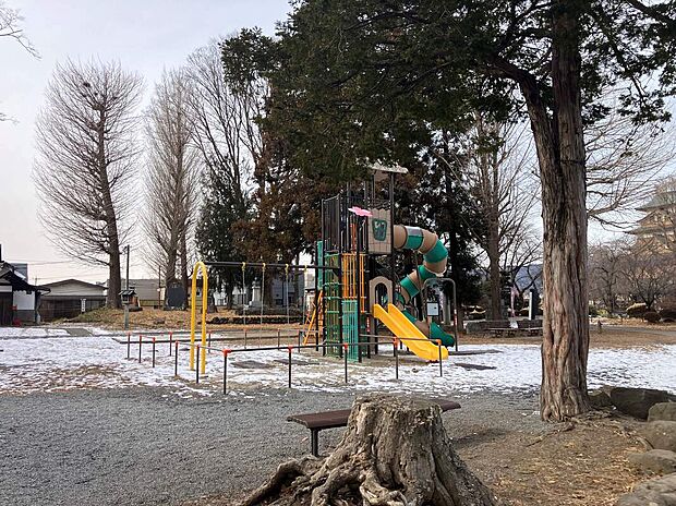 高島公園（約900m）