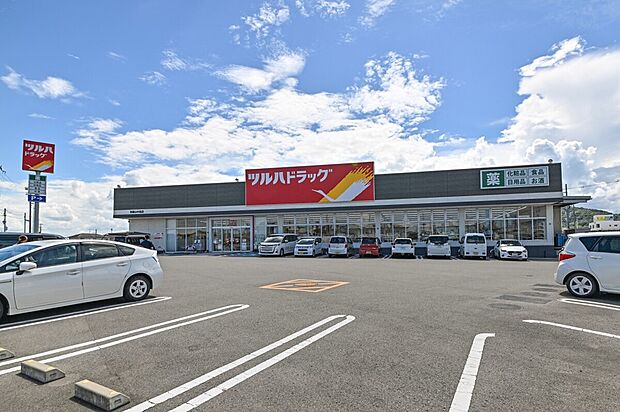 ツルハドラッグ 和歌山中島店（約780m）