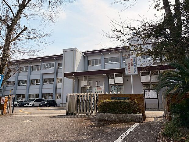 森岡小学校(約800m)