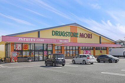 ドラッグストアモリ八代沖店 740ｍ(徒歩約10分)