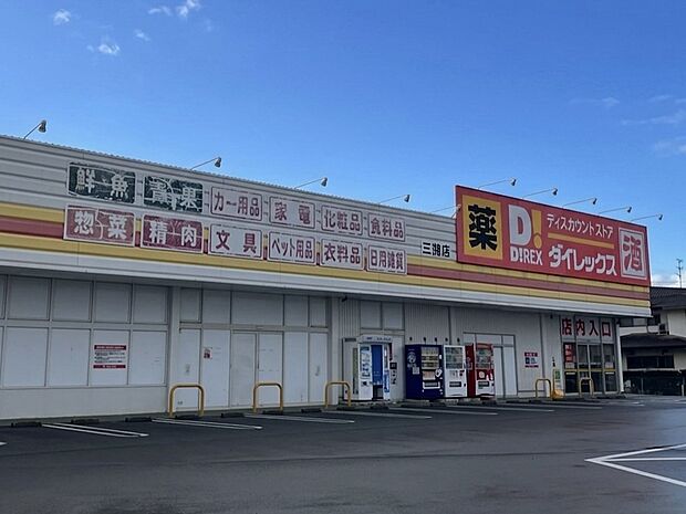 ダイレックス三潴店