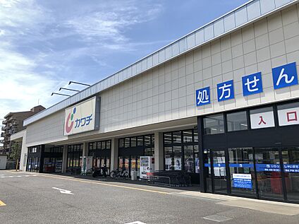 ドラッグストア　カワチ薬品 300m