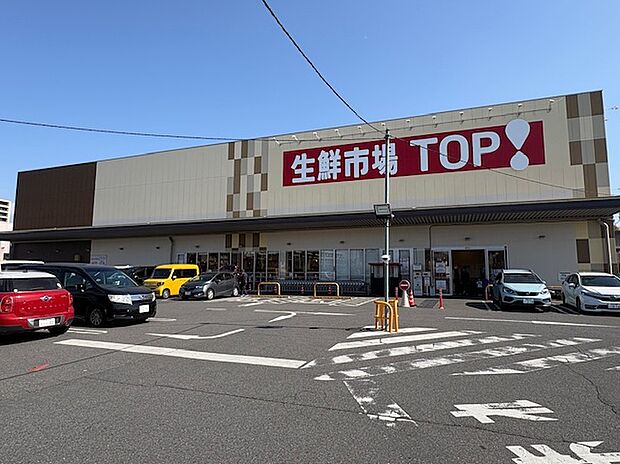 生鮮市場TOP