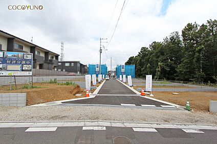 現地写真