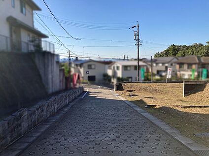 7・8号地南側道路（東側から撮影）