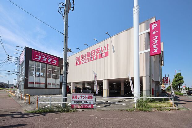 ドラッグストアコスモス上津バイパス店（約750m）
