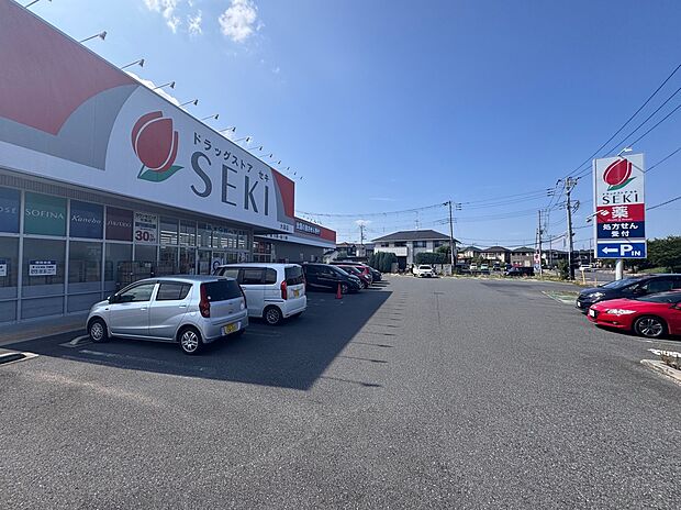 ドラッグストアセキ大袋店(約1,100m)
