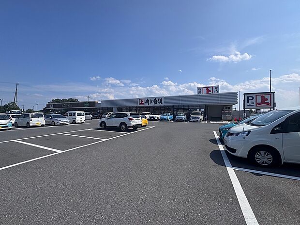 角上魚類越谷店(約1,000m)