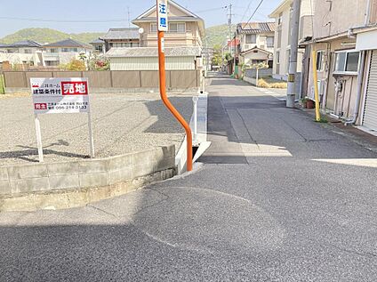 現地写真