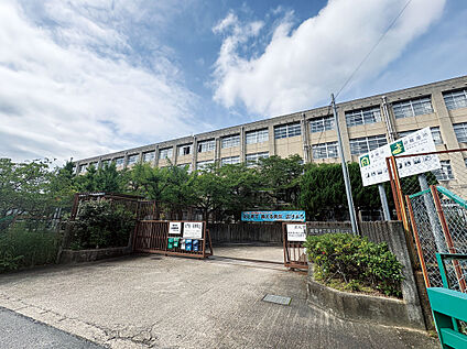 東城陽中学校 800～920m(徒歩10～12分)