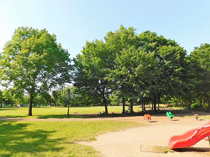 公園が多く、親子でのびのびと遊べます！写真は「柏の宮公園」