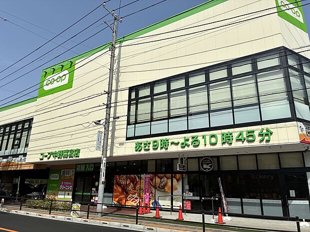 コープみらい コープ中野鷺宮店