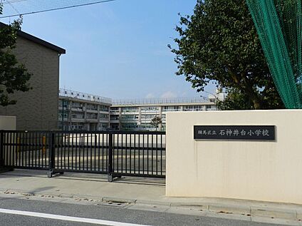 練馬区立石神井台小学校 約1200m(徒歩15分)