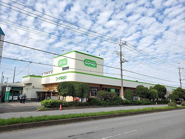 コープ北越谷店(約650m)