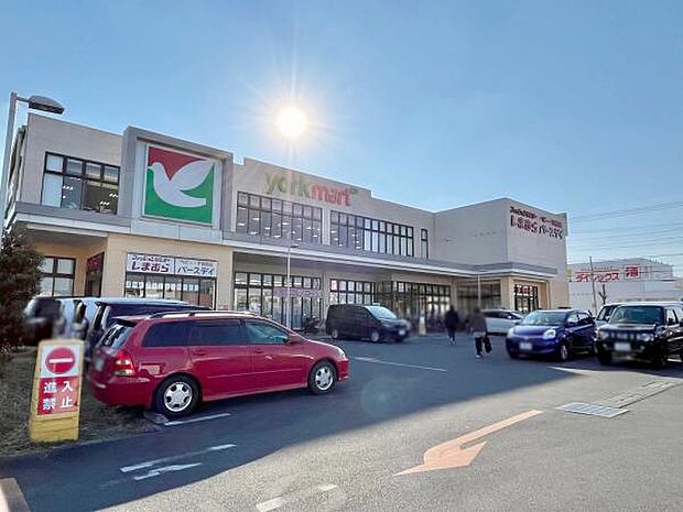 ヨークマート越谷花田店(約700m)