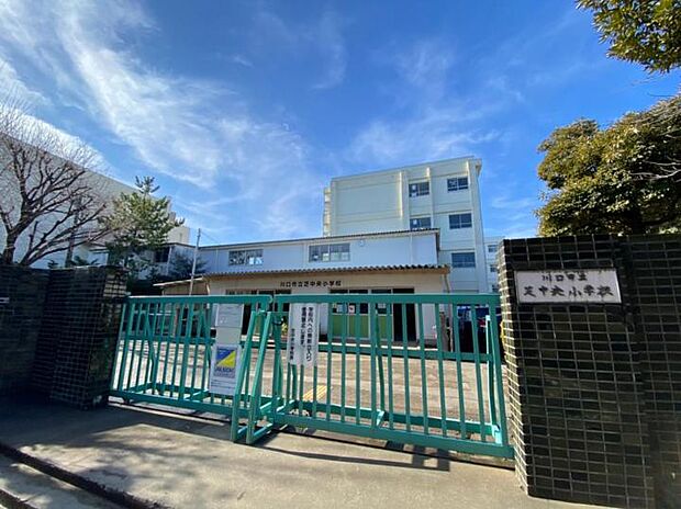 川口市立芝中央小学校(約950m)