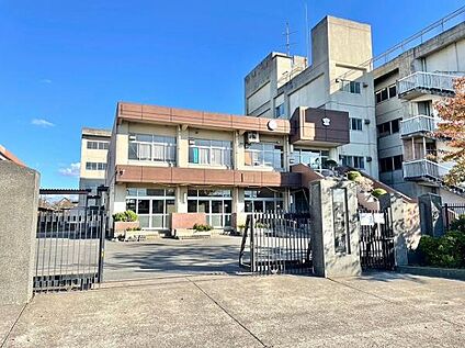 松戸市立旭町中学校 900m(-)