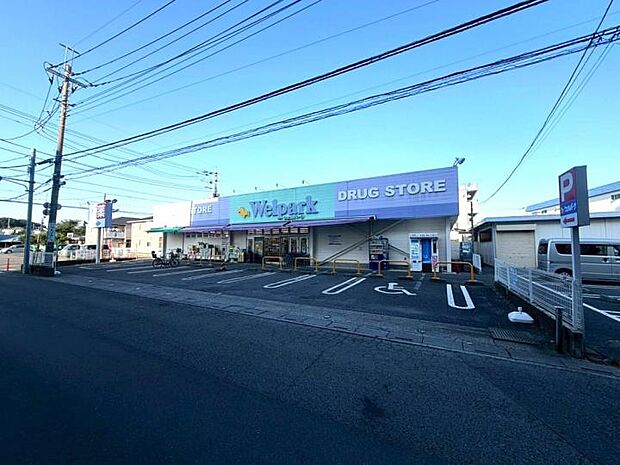 ウェルパーク新座石神店(約800m)