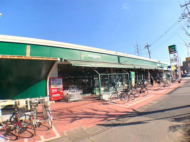 マルエツ柳崎店(約800m)