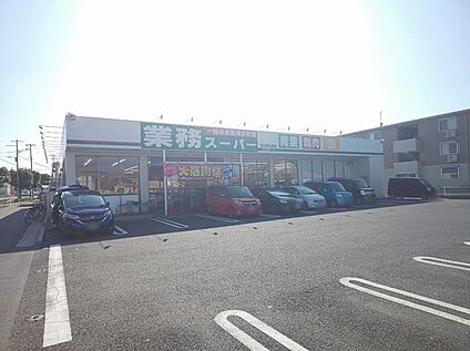業務スーパーせんげん台店 650m(-)