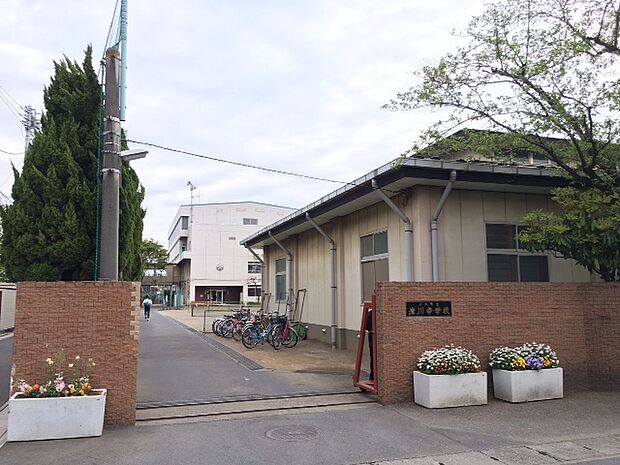 川口市立岸川中学校(約900m)