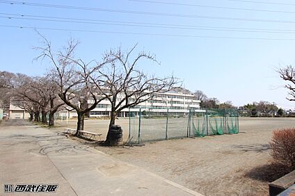 あきる野市立御堂中学校 1600m(20分)