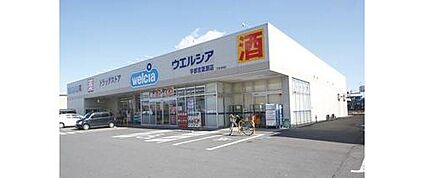 ウエルシア宇都宮花房店 1100m ～1300ｍ(徒歩14分)