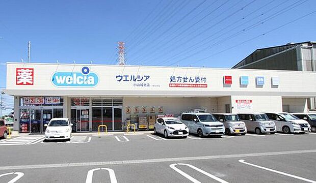 ウエルシア小山城北店(約390m)