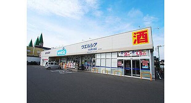 ウエルシア小山雨ケ谷店