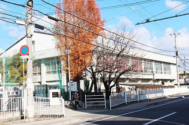 和歌山市立日進中学校(約890m)