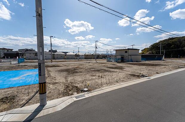 【45-16号地】(2024年4月撮影)