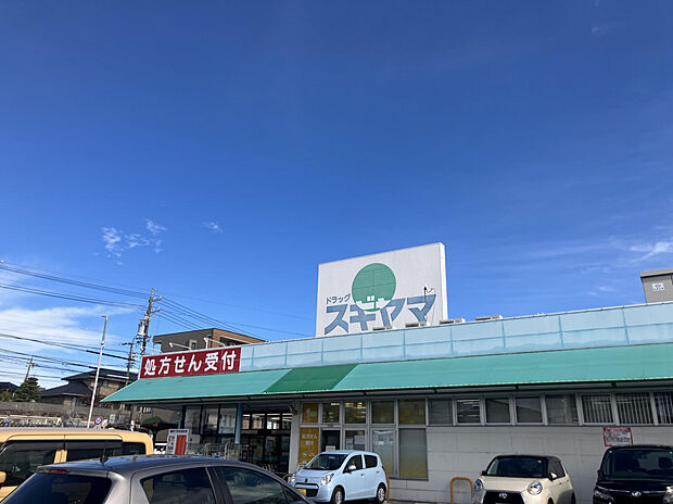 ドラッグスギヤマ神の倉店（約600m）