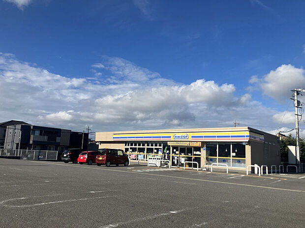 ミニストップ上野台店（約230m）
