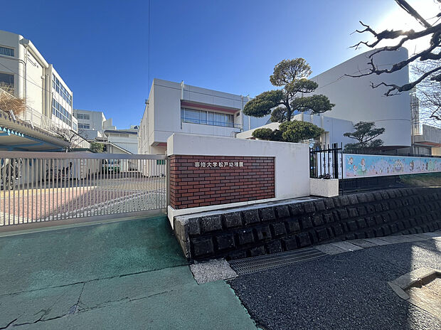 専修大学松戸幼稚園(約560m)