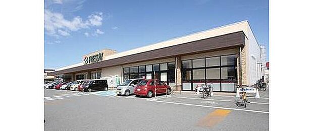 フレッセイ（約550m）