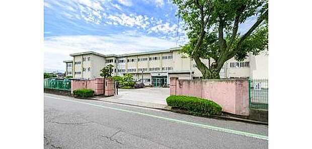 前橋市立大利根小学校(約500m)