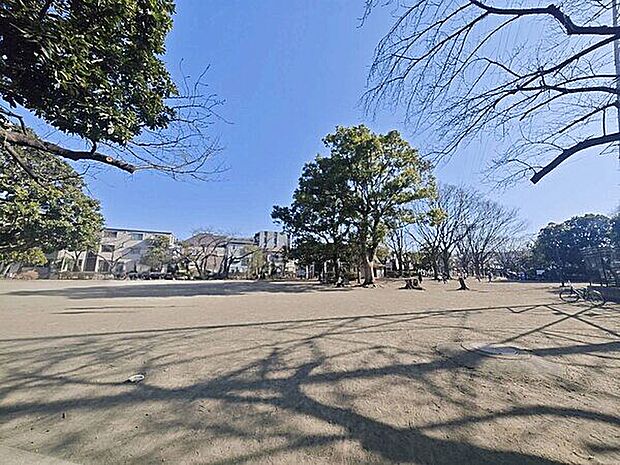 井田公園まで441m