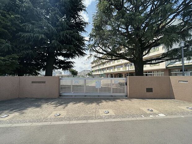 狛江市立緑野小学校まで1246m