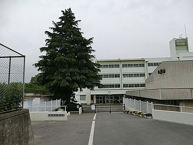 流山市立向小金小学校まで1278m