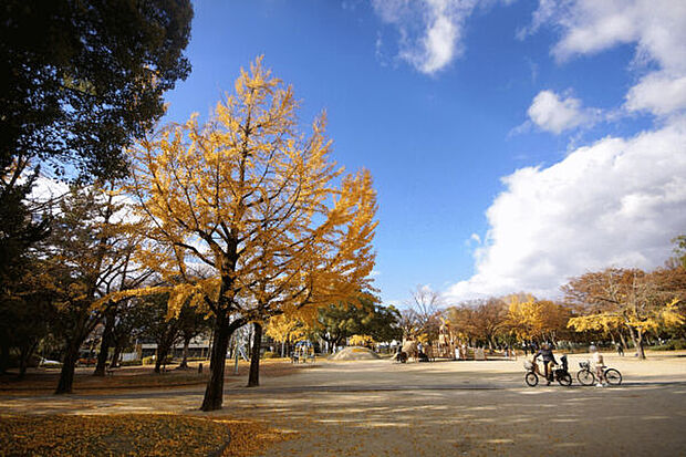 千種公園まで376m